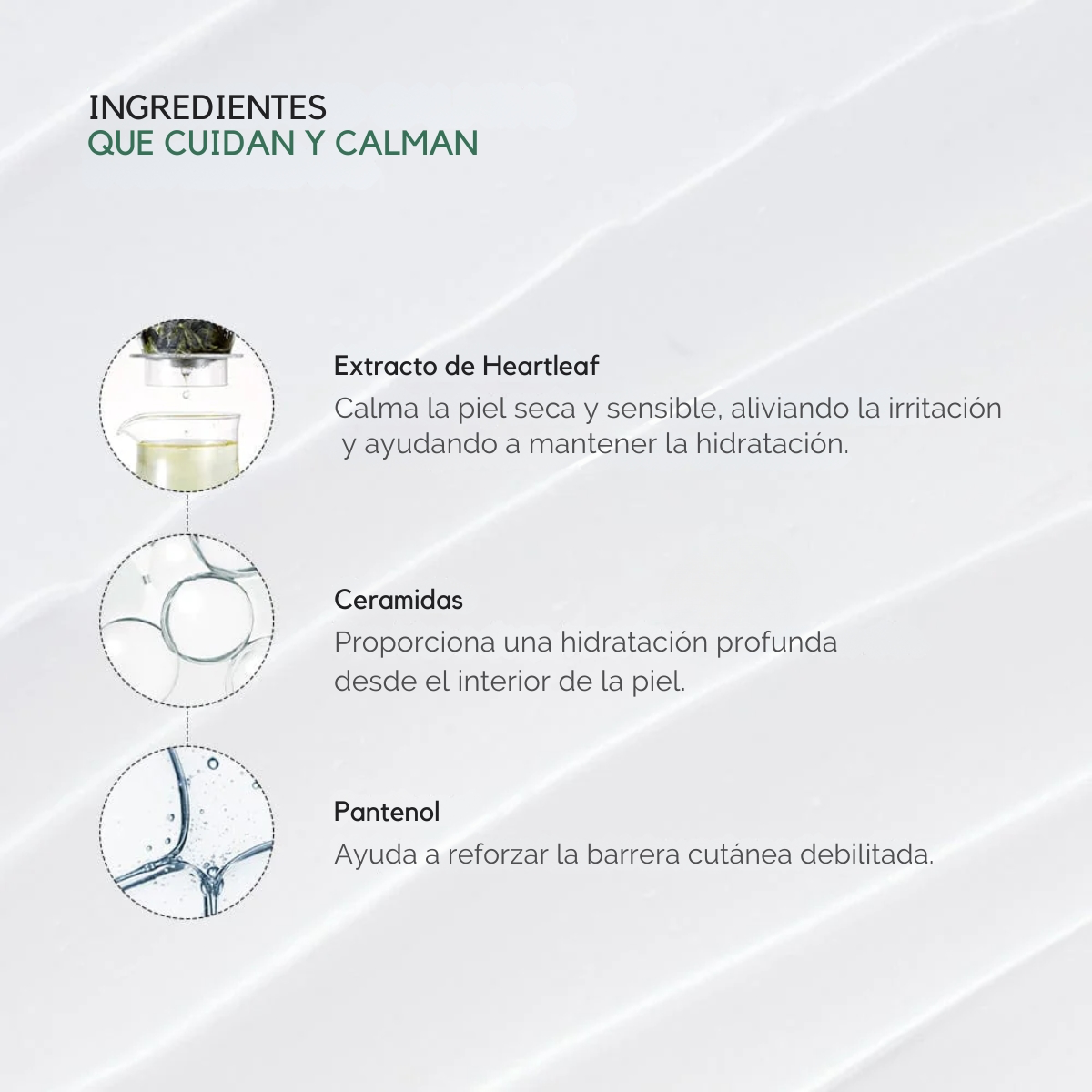 Heartleaf 70%Intense Calming Cream 50 ml (crema)